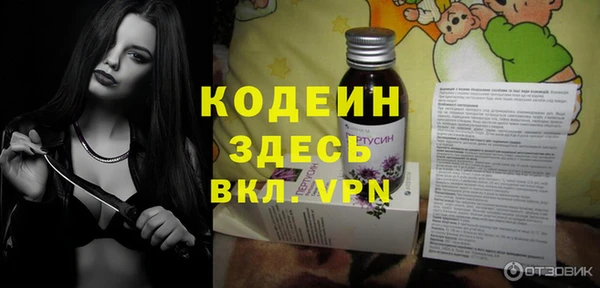 эйфоретик Вяземский