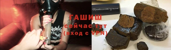 ПСИЛОЦИБИНОВЫЕ ГРИБЫ Горняк