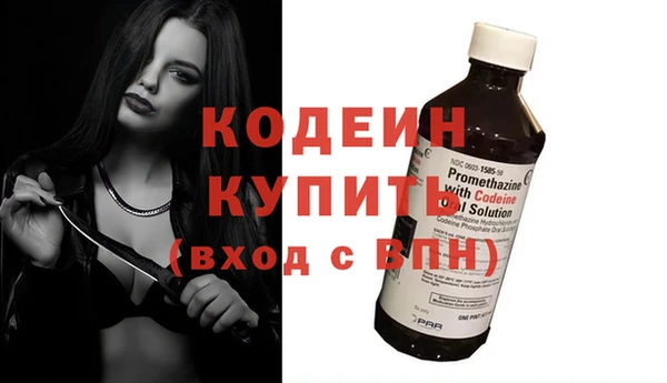 эйфоретик Вяземский