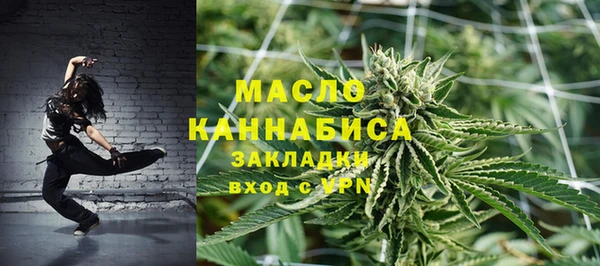 эйфоретик Вяземский
