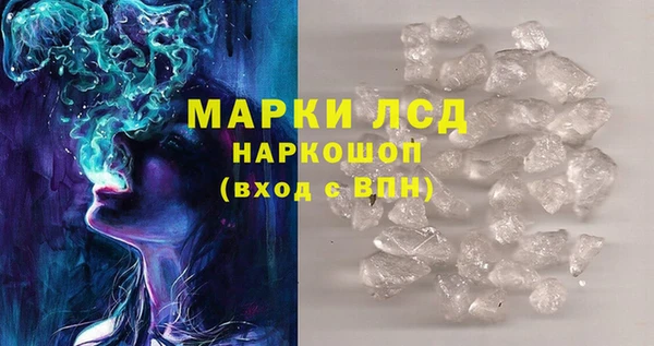 эйфоретик Вяземский