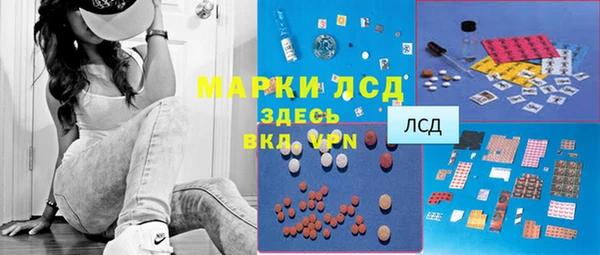 эйфоретик Вяземский