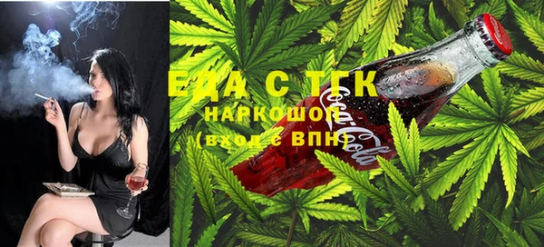 эйфоретик Вяземский